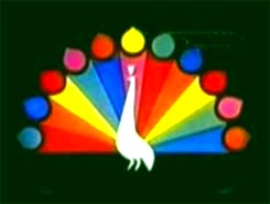  NBC peacock 
