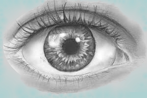 eye image