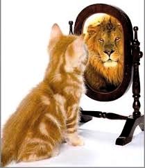  pussy cat seeing its mirror image as a lion 